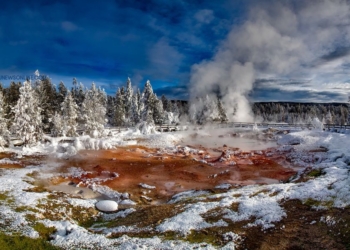Taman Nasional Yellowstone: Rumah Beruang Grizzly