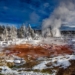 Taman Nasional Yellowstone: Rumah Beruang Grizzly