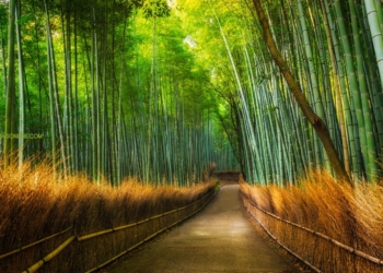 Tempat Paling Indah di Jepang Bikin Terpukau