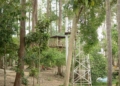 Tempat Wisata di Langsa yang Populer