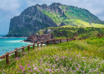 Pulau Jeju Korea Selatan dan Pesonanya