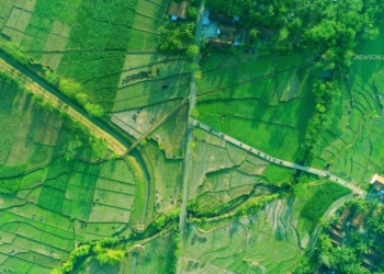 Tempat Wisata di Banyumas untuk Healing