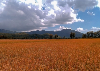 Tempat Wisata di Wonogiri untuk Healing