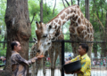 wisata malam di kebun binatang ragunan