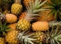 Oleh-Oleh Khas Subang yang Enak Jadi Buah Tangan