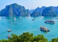 Ha Long Bay: Keindahan Teluk Legendaris yang Jadi Ikon Vietnam