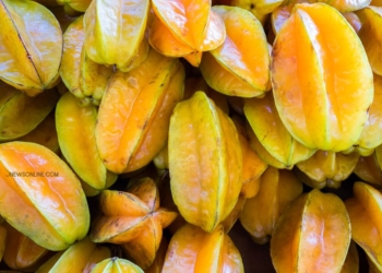 Rekomendasi Oleh-Oleh Khas Depok