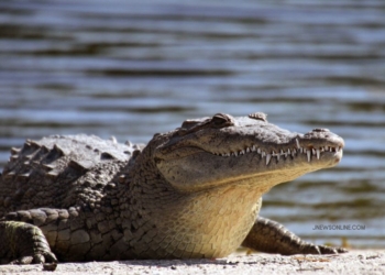 Tempat Paling Berbahaya di Indonesia