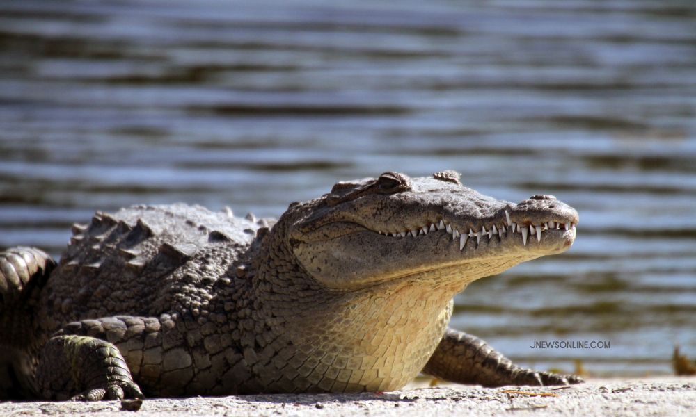 Tempat Paling Berbahaya di Indonesia
