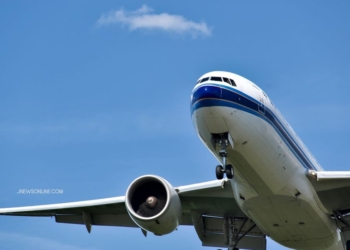 7 Makanan yang Dilarang Dibawa di Pesawat yang Perlu Diperhatikan Penumpang