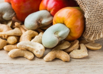 Oleh-Oleh Khas Kendari Sebelum Pulang