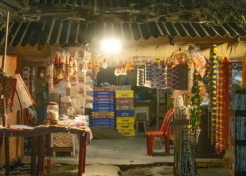 Bisnis Anti Krisis yang Cocok untuk Pemula