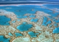 Great Barrier Reef, Surga Biota Laut yang Dilindungi di Australia