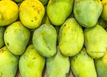 Ragam Oleh-Oleh Khas Probolinggo dari Kuliner hingga Produk Lokal