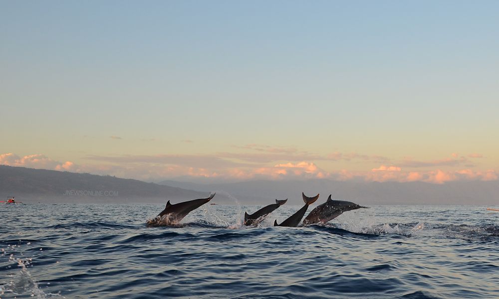 Tempat Wisata di Denpasar yang Populer