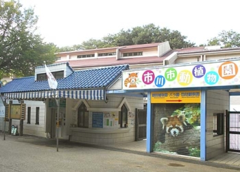 Ichikawa City Zoo: Kebun Binatang di Chiba yang Mendadak Viral karena Punch