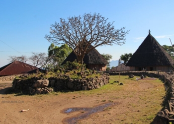 Kampung Adat Todo: Jejak Sejarah dan Budaya Manggarai di Flores