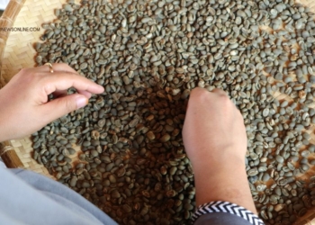 Oleh-Oleh Khas Toraja untuk Buah Tangan Sepulang Liburan