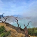 kawah ijen banyuwangi