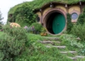 Hobbiton Selandia Baru: Fakta, Keunikan, dan Pesona Desa Hobbit