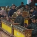 pendidikan khas kajogjaan