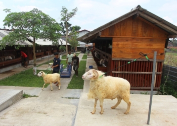 prabhu farm