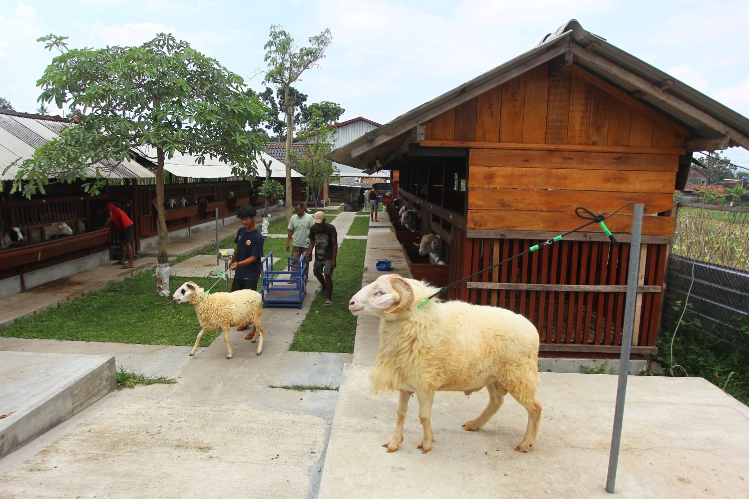 prabhu farm