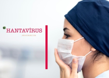 Apa Itu Hantavirus? Fakta dan Hal yang Perlu Diketahui