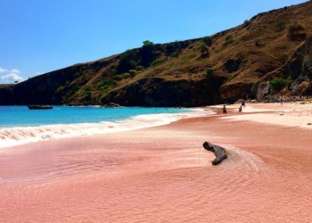 Pink Beach: Mengenal Pantai di Pulau Komodo dengan Pasir Berwarna Pink yang Langka