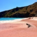 Pink Beach: Mengenal Pantai di Pulau Komodo dengan Pasir Berwarna Pink yang Langka