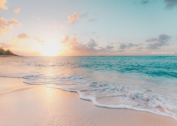 Pink Beach di Dunia dan Fakta Uniknya