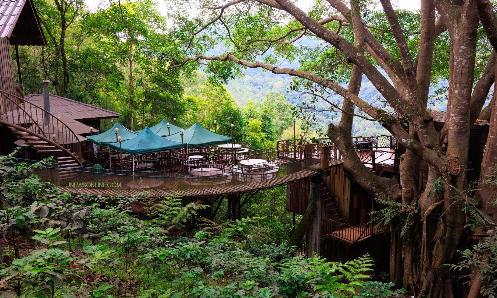Tempat Makan di Lembang dengan View Alam yang Menarik