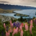 Queenstown Selandia Baru: Pesona Ibu Kota Petualangan Dunia