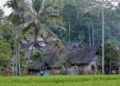 Kampung Naga Tasikmalaya dan Kehidupan yang Sarat Tradisi Sunda