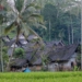 Kampung Naga Tasikmalaya dan Kehidupan yang Sarat Tradisi Sunda