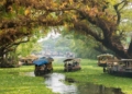 Kerala Backwaters: Destinasi Eksotis India dengan Jaringan Sungai dan Laguna
