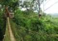 Bukit Bangkirai: Pesona Hutan Tropis Kalimantan yang Masih Asri