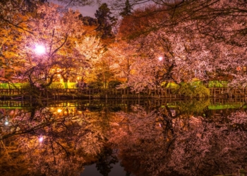 Rekomendasi Tempat Terbaik Melihat Sakura di Jepang untuk Liburan Musim Semi