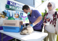 klinik hewan keliling
