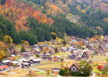 Desa Shirakawa-go, Desa Tradisional Jepang dengan Rumah Beratap Jerami yang Ikonik