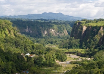 Ngarai Sianok: Pesona Lembah Hijau yang Mengapit Kota Bukittinggi