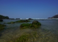 Pantai Wediombo: Keindahan Pesisir Gunungkidul Yogyakarta yang Wajib Dijelajahi