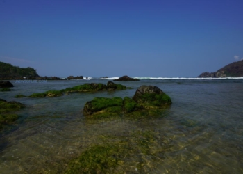 Pantai Wediombo: Keindahan Pesisir Gunungkidul Yogyakarta yang Wajib Dijelajahi