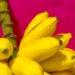 Pisang Lampung dan Beragam Penganan yang Bisa Diolah